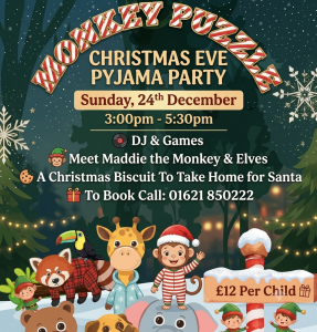 xmas eve pj party
