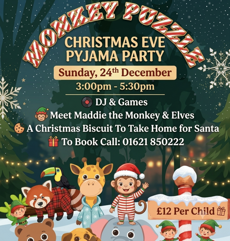 xmas eve pj party